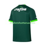 Maillot/Tenue Palmeiras Domicile 2023/2024